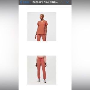 Practically Brand New Terracotta Figs Set